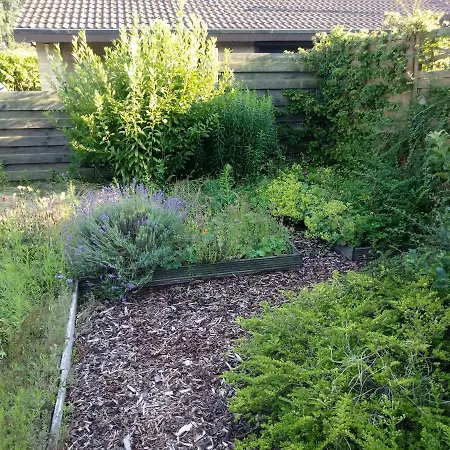 Holiday home Garten Eden Am Haddorfer