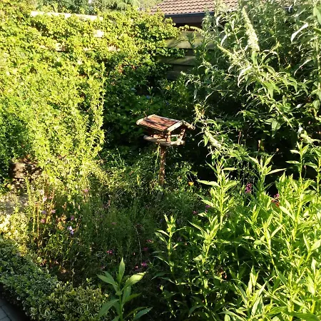 Garten Eden Am Haddorfer Holiday home